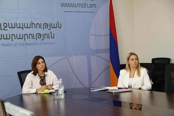 Առցանց հանդիպում` ստոմատոլոգիական կլինիկաների ներկայացուցիչների հետ